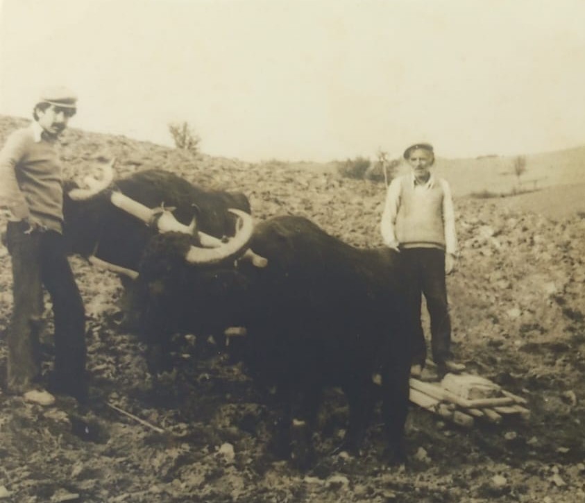 Kastamonu Et Adak Kurban