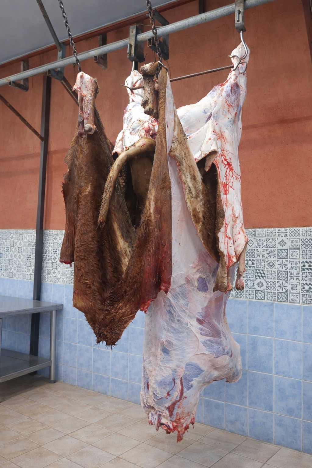 İstanbul Hijyenik adak kurban kesimi - Kastamonu Et