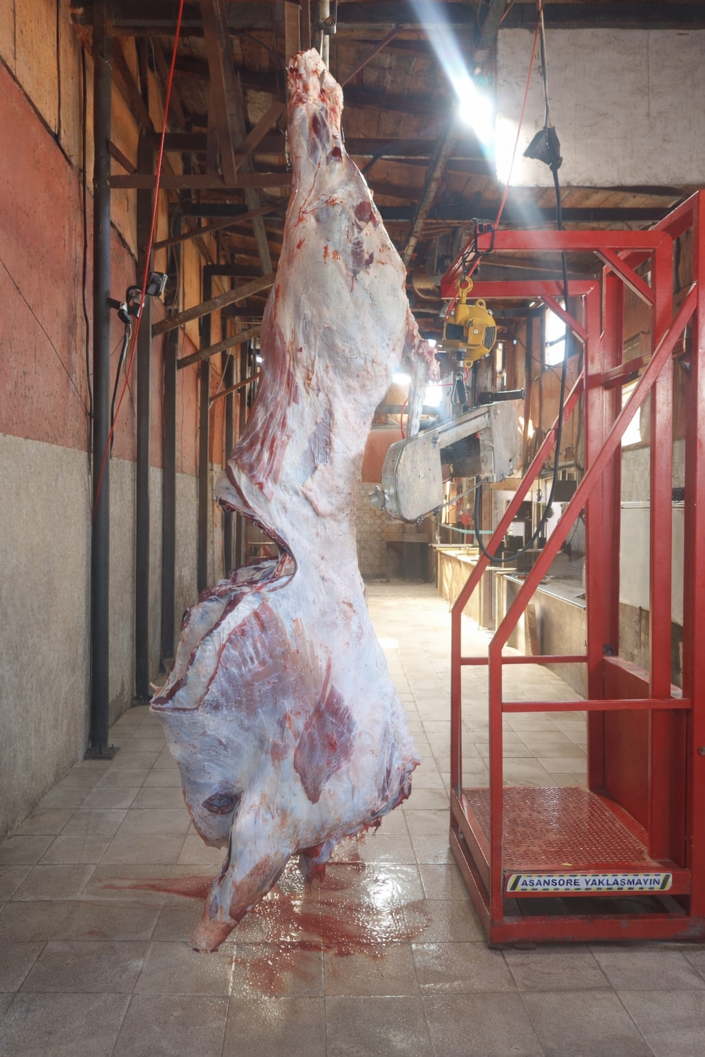 Hijyenik adak kurban kesim alanı - Kastamonu Et