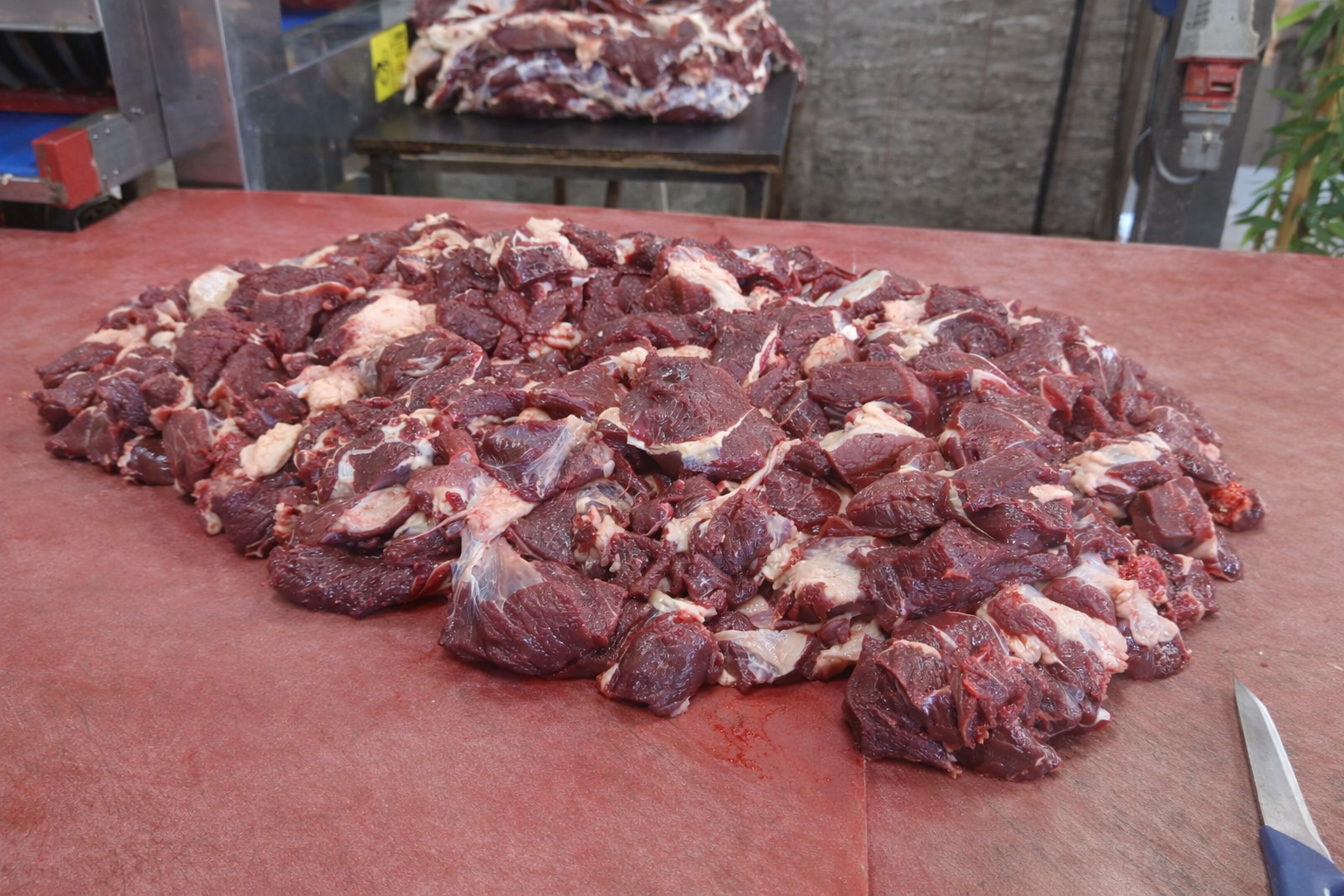 İstanbul Arnavutköy adak kurban hizmeti Kastamonu Et