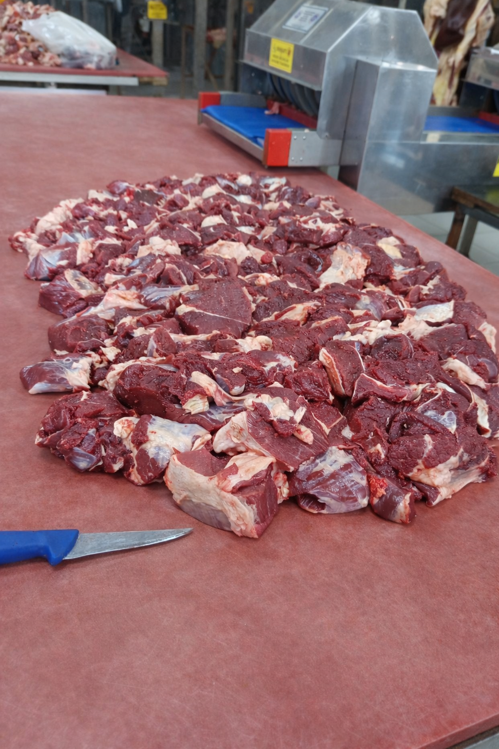 Kurban etlerinin paketlenmesi - Kastamonu Et