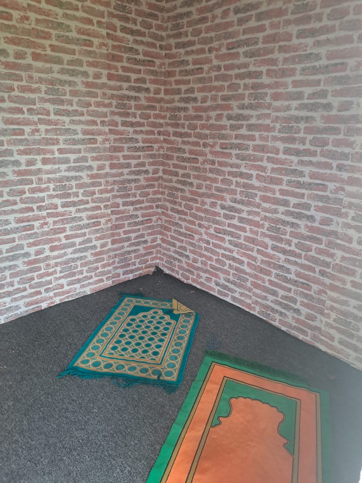 Kastamonu Et kurban tesisi